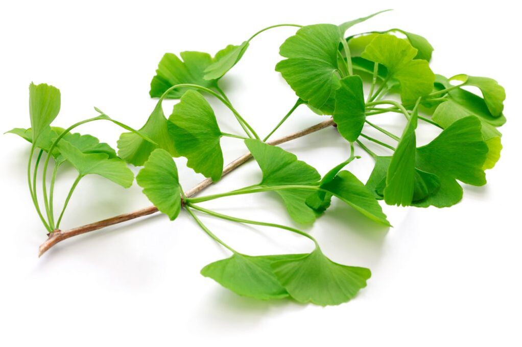 Ginkgo biloba σε κάψουλες Insuvit